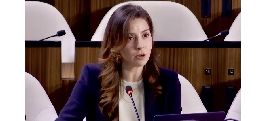 Durante la 221ª sesión del consejo ejecutivo de la UNESCO, Colombia hizo un llamado a liberar a la hoja de coca de la estigmatización que la ha marcado durante décadas