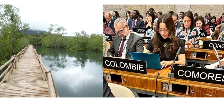 Colombia reelegida como miembro del Consejo del Programa sobre el Hombre y la Biosfera (MAB) de la UNESCO para el periodo 2023-2025
