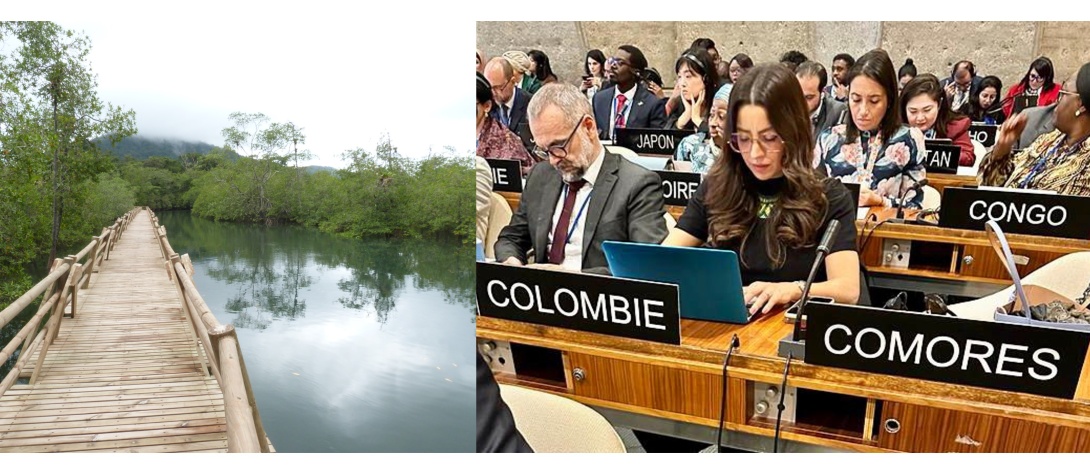 Colombia reelegida como miembro del Consejo del Programa sobre el Hombre y la Biosfera (MAB) de la UNESCO para el periodo 2023-2025 Colombia reelegida como miembro del Consejo del Programa sobre el Hombre y la Biosfera (MAB) de la UNESCO para el periodo 2023-2025
